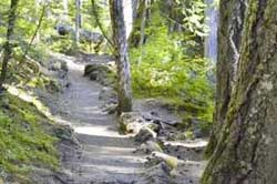 Pathway photo - kpservices.us